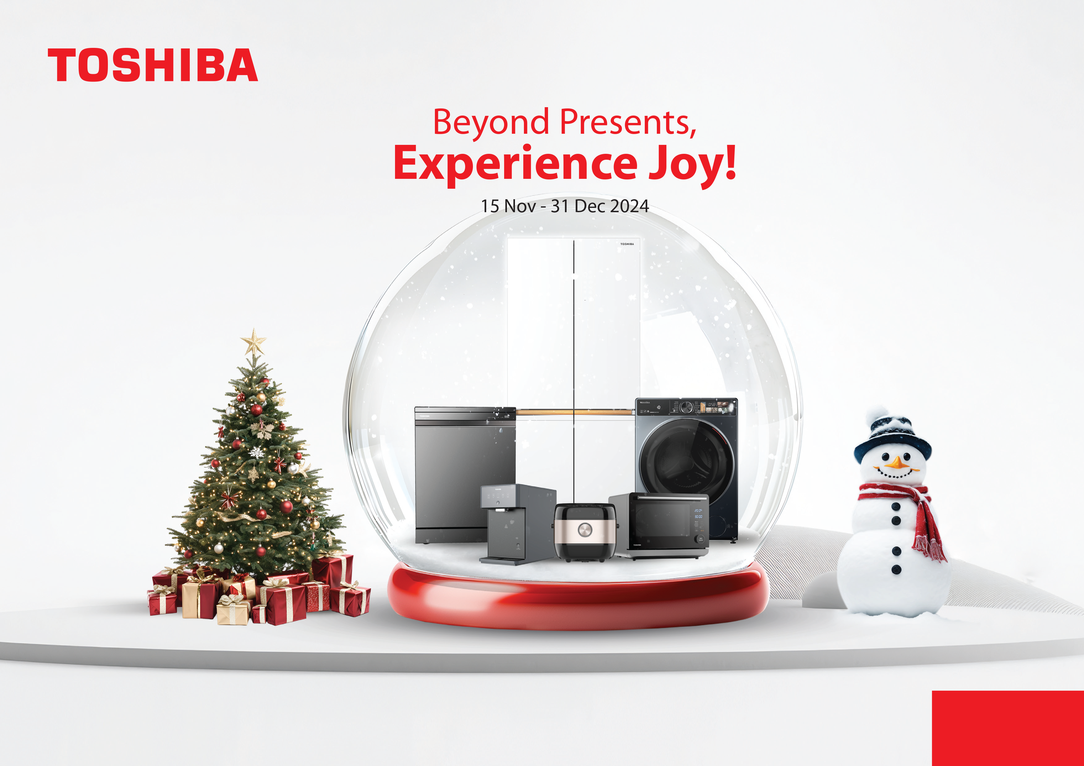 2024 Beyond Presents, Experience Joy! Campaign Leaflet