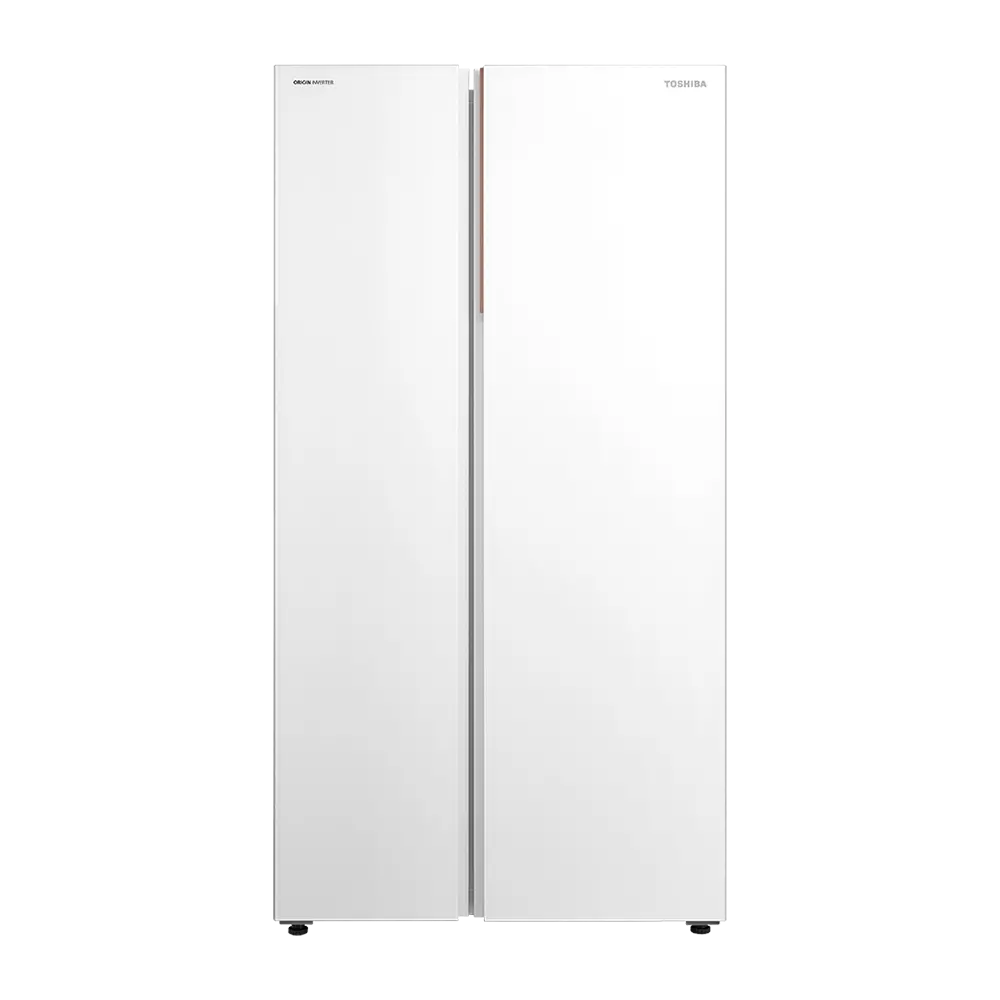 Side by Side | Toshiba Lifestyle Malaysia
