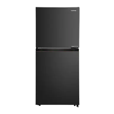 Toshiba 360L PureBIO Origin Inverter Two Door Refrigerator GR