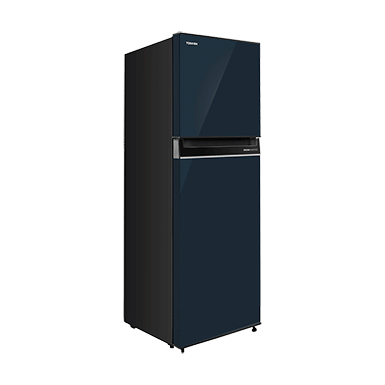 Buy 2 Doors Refrigerators Toshiba Lifestyle Malaysia