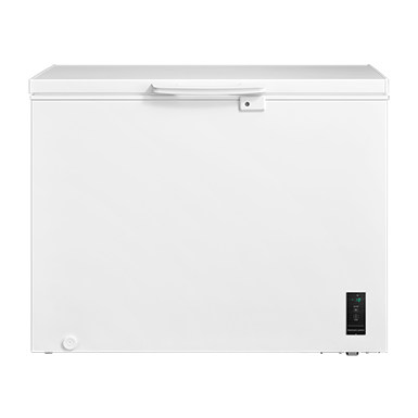 GR-RC390CE-DMY(01) High Resolution Photos