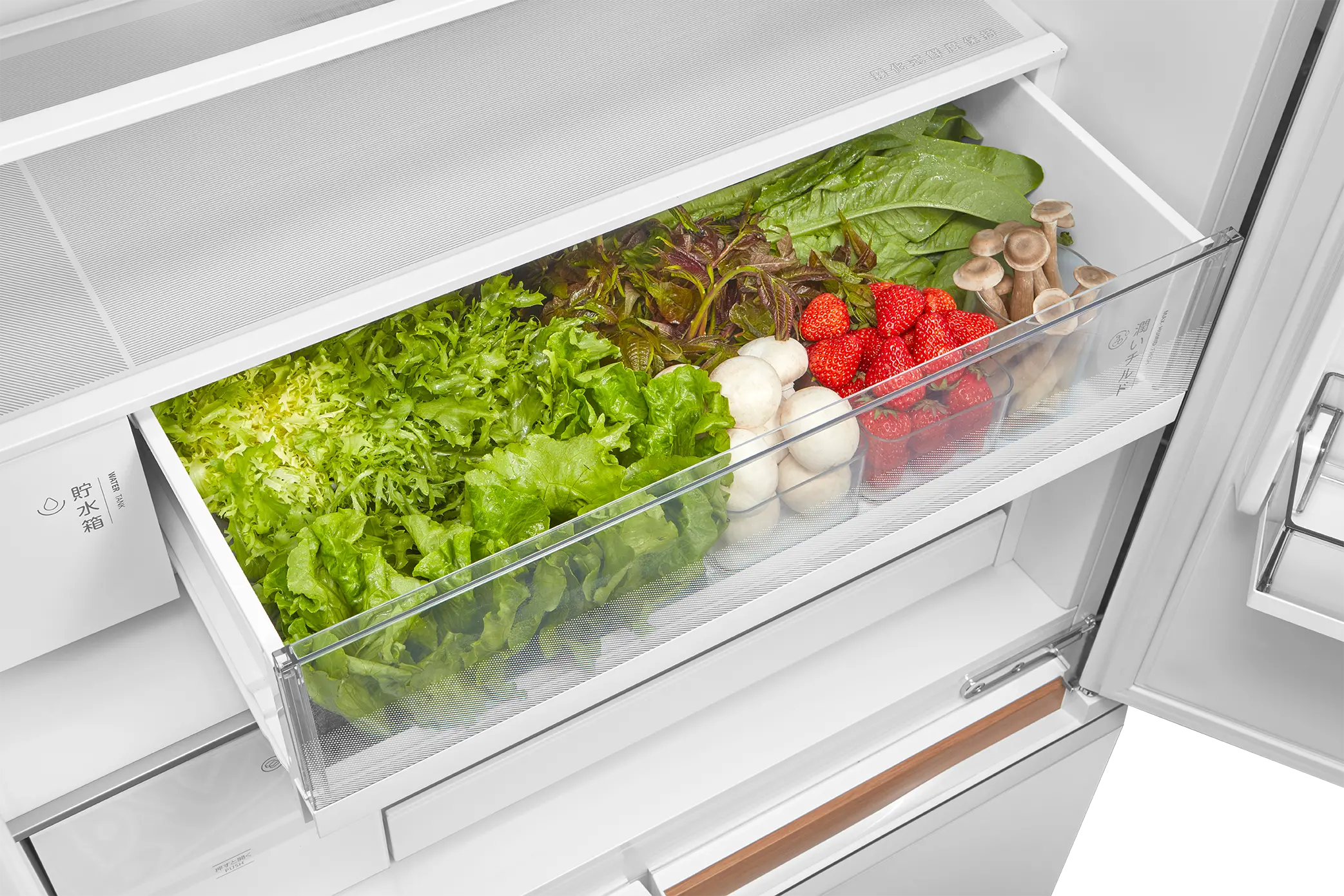 Toshiba Multi-Door Refrigerator