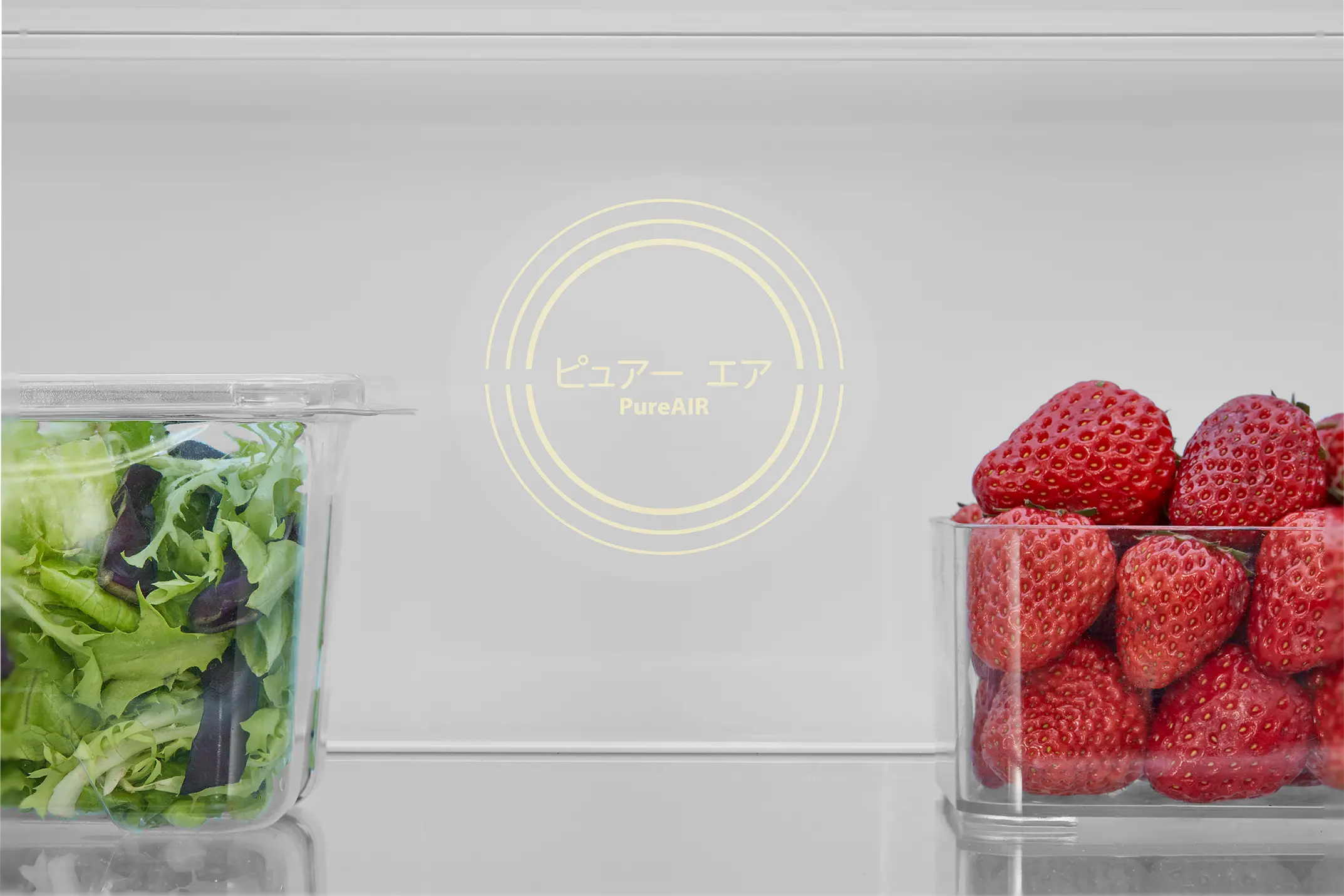 Toshiba Refrigerators