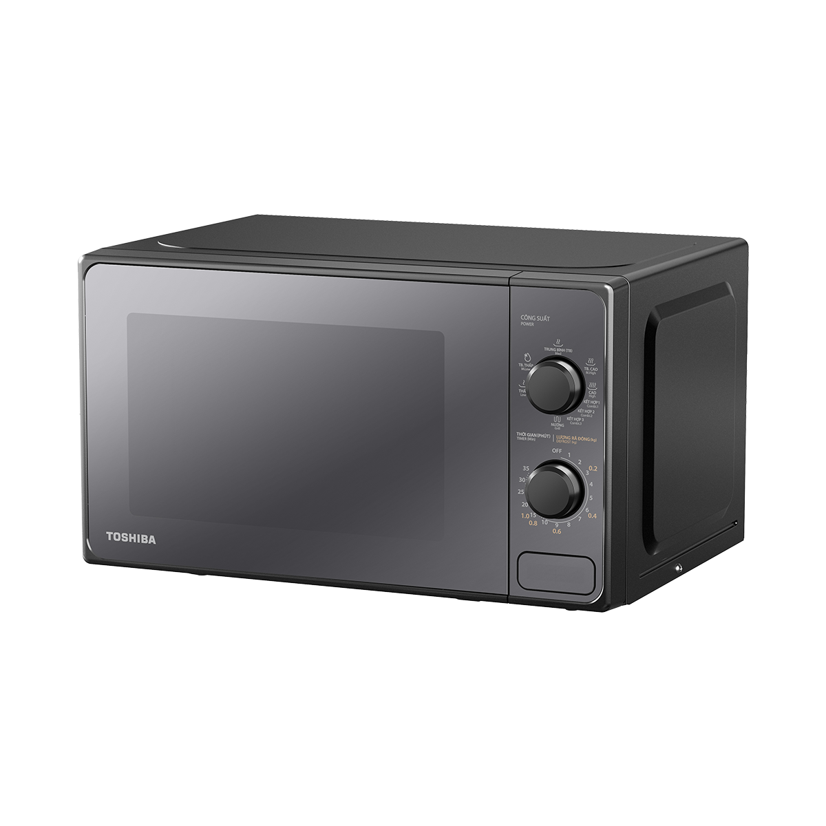 Thiết kế Toshiba MM2-MG20PE(BM)VN Thiết kế Toshiba MM2-MG20PE(BM)VN