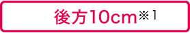 後方10cm※1