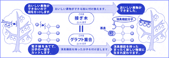 おいしい果物ができないので枝をカットします。おいしい果物ができる枝に付け換えます。おいしい果物ができました。これを接ぎ木といいます＝これをグラフと重合といいます　電子線をあてて、分子の一部をカットします。消臭機能を持った分子を付け足します。消臭機能を持ったまったく新しい物質に生まれ変わります。　悪臭　消臭機能分子