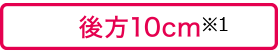 後方10cm※1