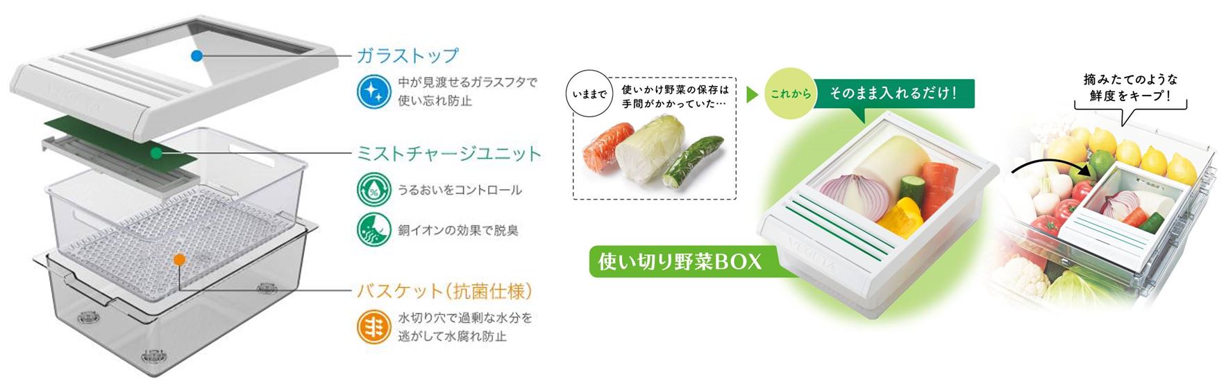 使いかけの野菜をラップ無しでも約10日間新鮮に保存 新開発「使い切り