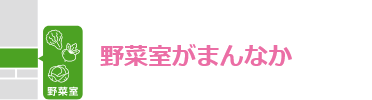 野菜室がまんなか