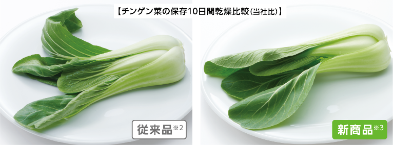 チンゲン菜の保存10日間 乾燥比較（当社比） 従来品※2 新商品※3