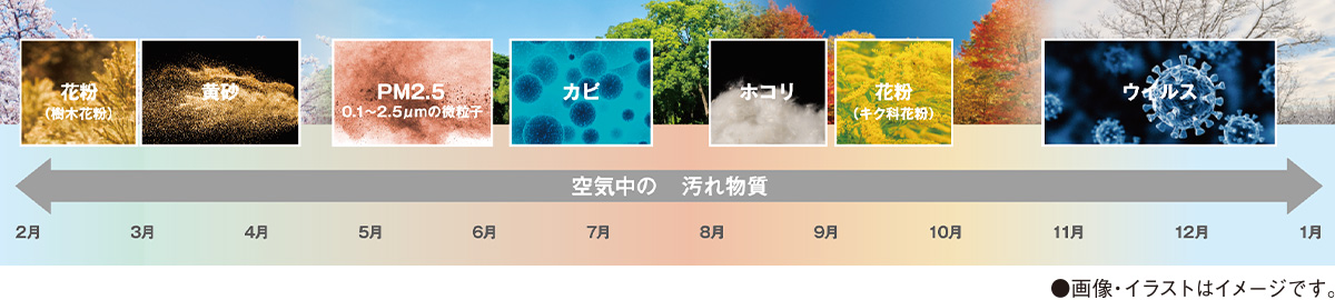 空気中の 汚れ物質 花粉(樹木花粉) 黄砂 PM2.5 0.1~2.5μmの微粒子 カビ ホコリ 花粉(キク科花粉) ウイルス