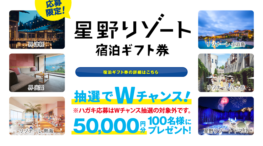 WEB応募限定