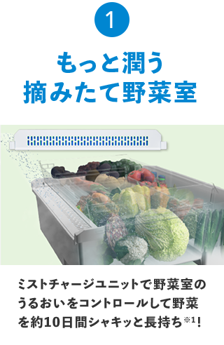 1 もっと潤う摘みたて野菜室