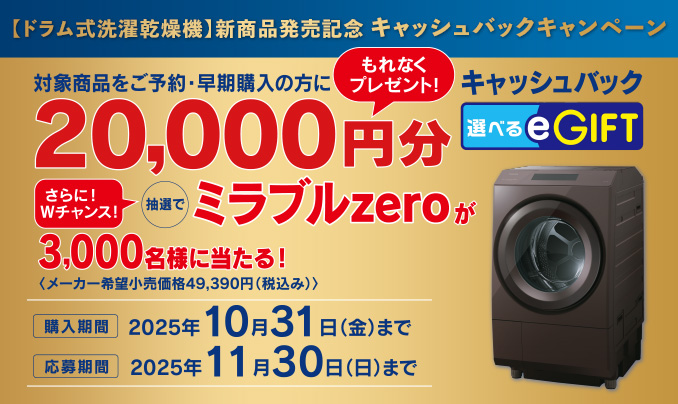 【全国送料無料・一部地域は5000円割引】東芝 2024年 洗濯機 清掃済 武蔵野市へ出張しました（高価買取）東芝 洗濯機 AW-45GA2-W