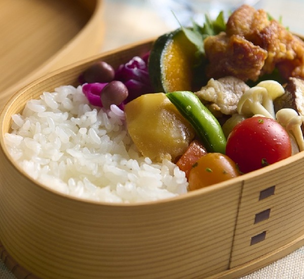 冷蔵庫 | 東芝ライフスタイル株式会社