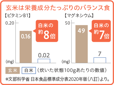 玄米は栄養成分たっぷりのバランス食
