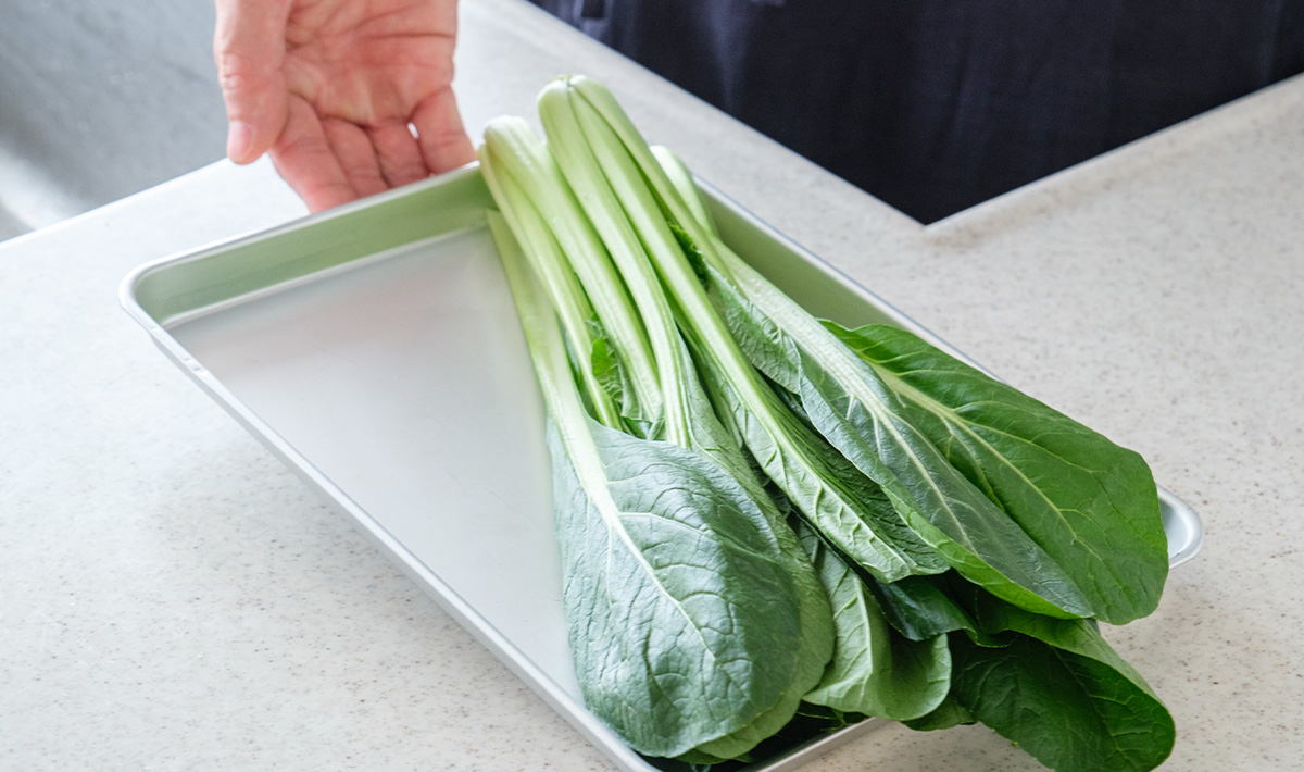 VEGETAで保存したみずみずしい小松菜