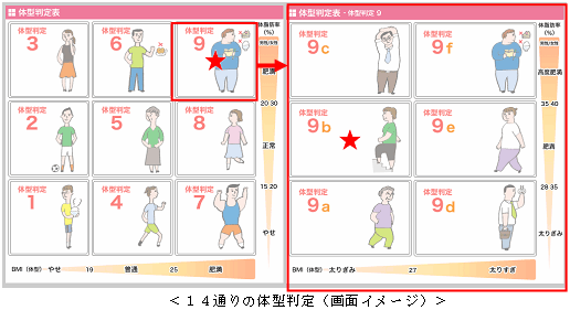 14通りの体型判定（画面イメージ）