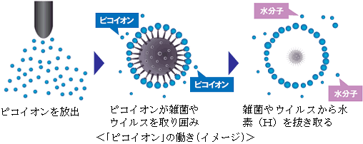 ピコイオン｣の働き