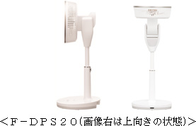 F-DPS20