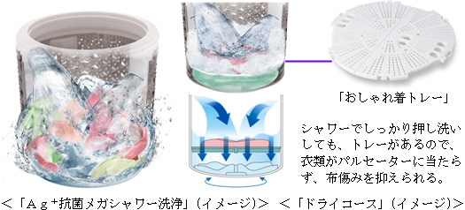 AG+抗菌メガシャワー洗浄 ドライコース